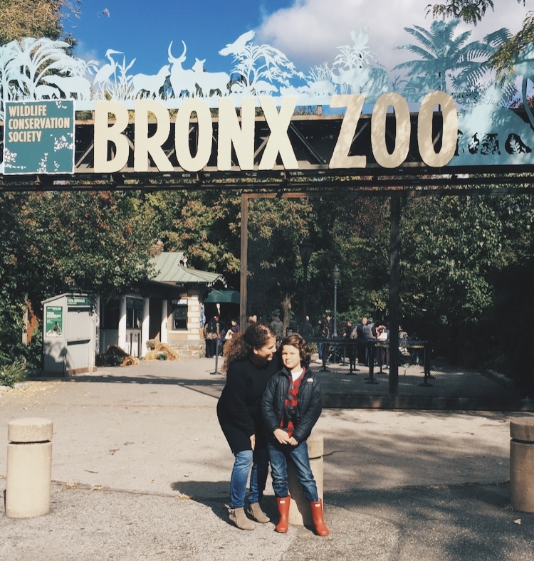 A Harmonious Combination : Boo At The Bronx Zoo!