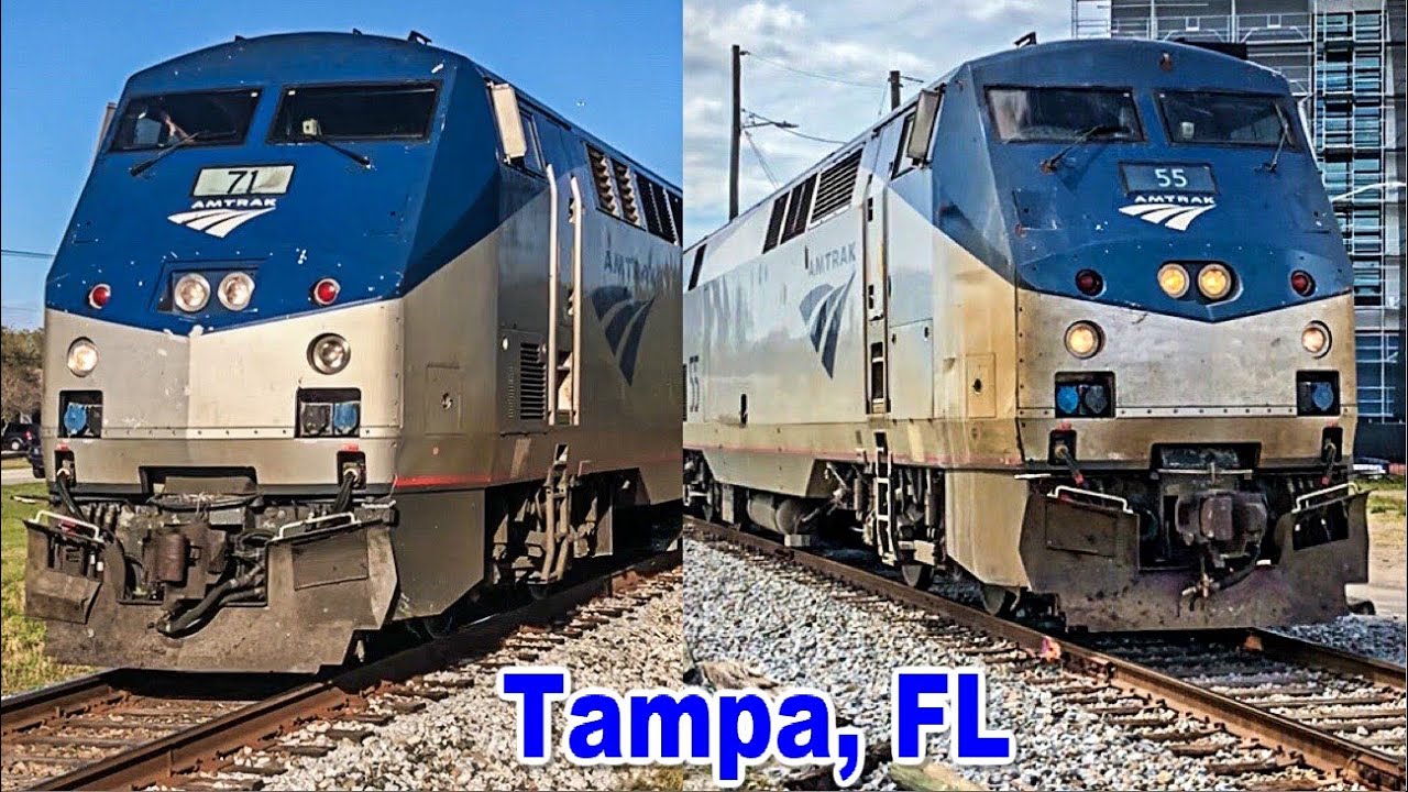 Amtrak Trains around Tampa, FL!