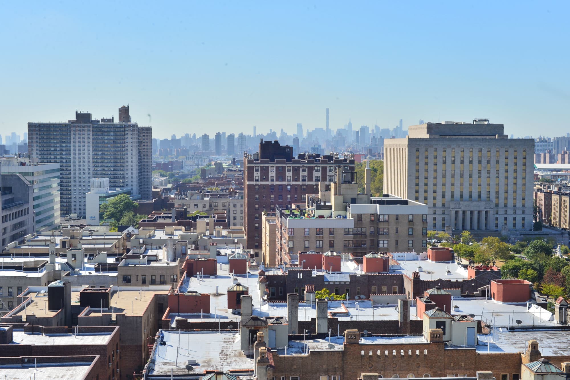 Bronx becomes latest target of NYC