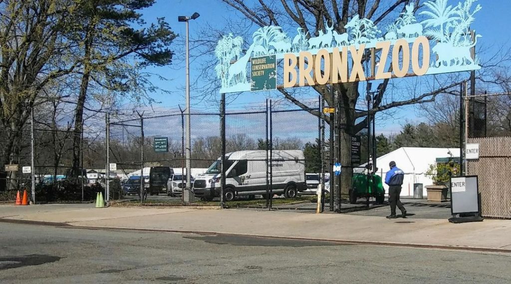 Bronx Zoo Parking Lots Taken Over For COVID