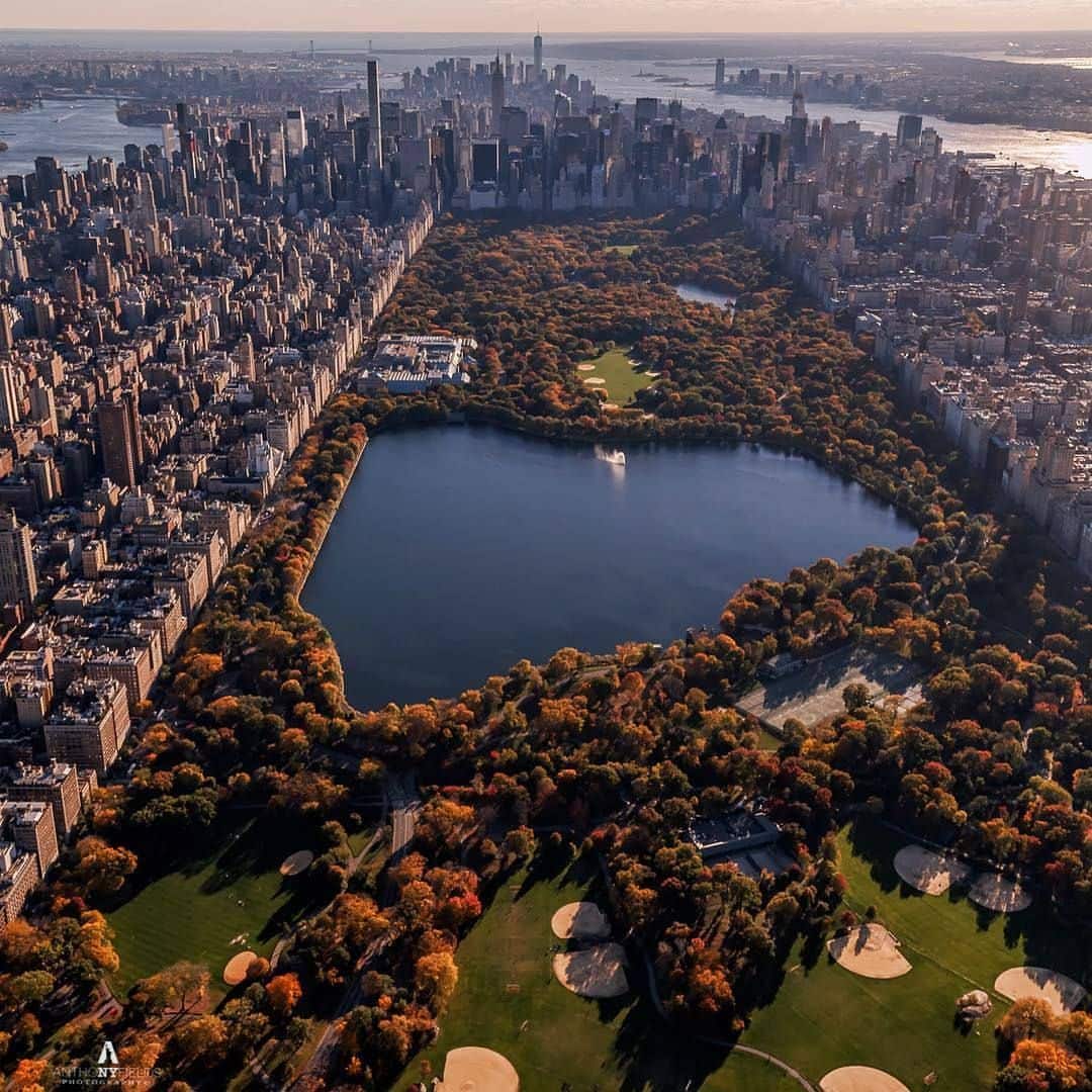 Central Park from above by @wingsairheli