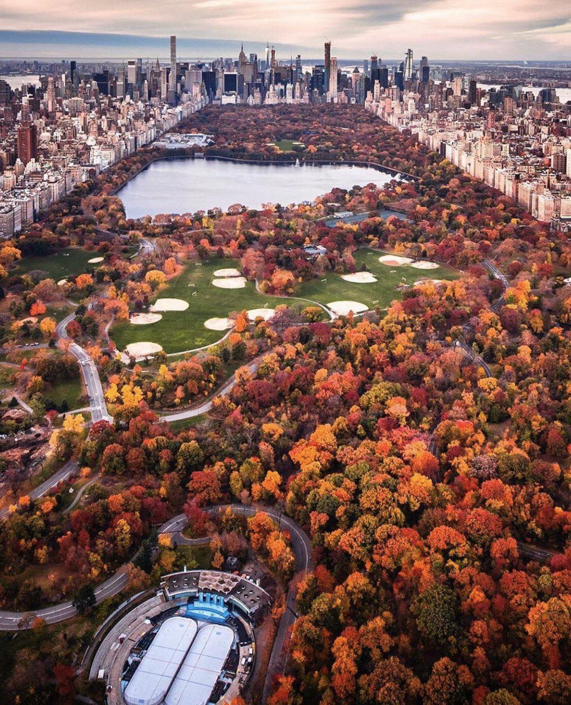 Fall in Central Park New York #city #cities #buildings #photography ...