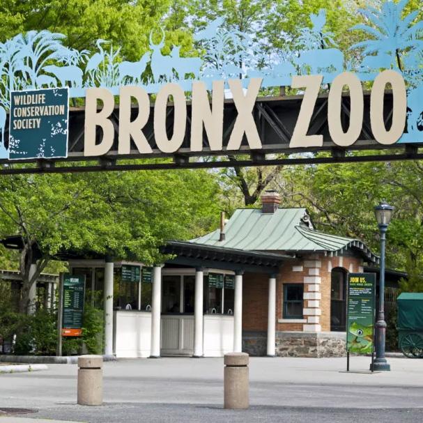 Happy Birthday to the Bronx Zoo!