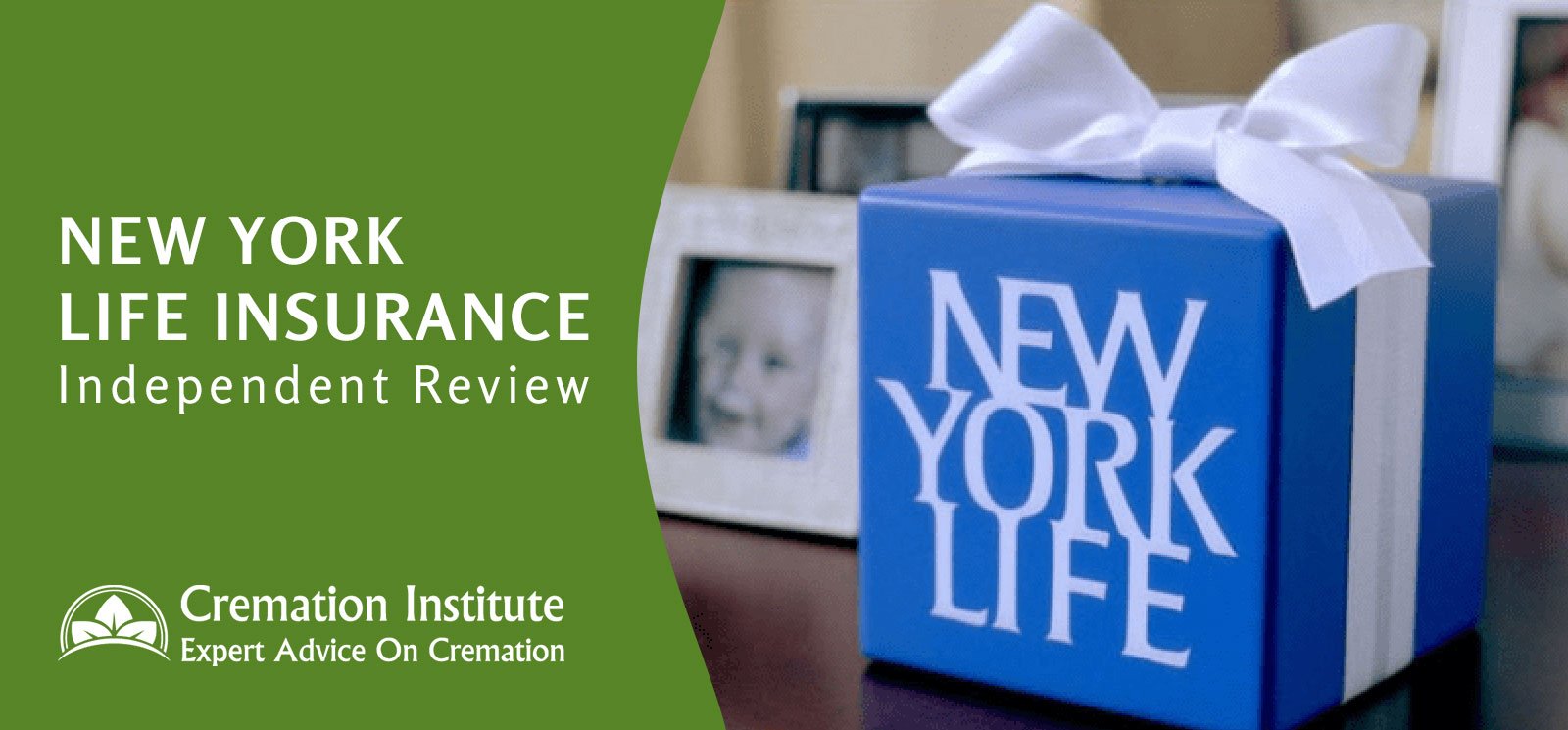 New York Life Insurance Review 2020: The Best Policies ...