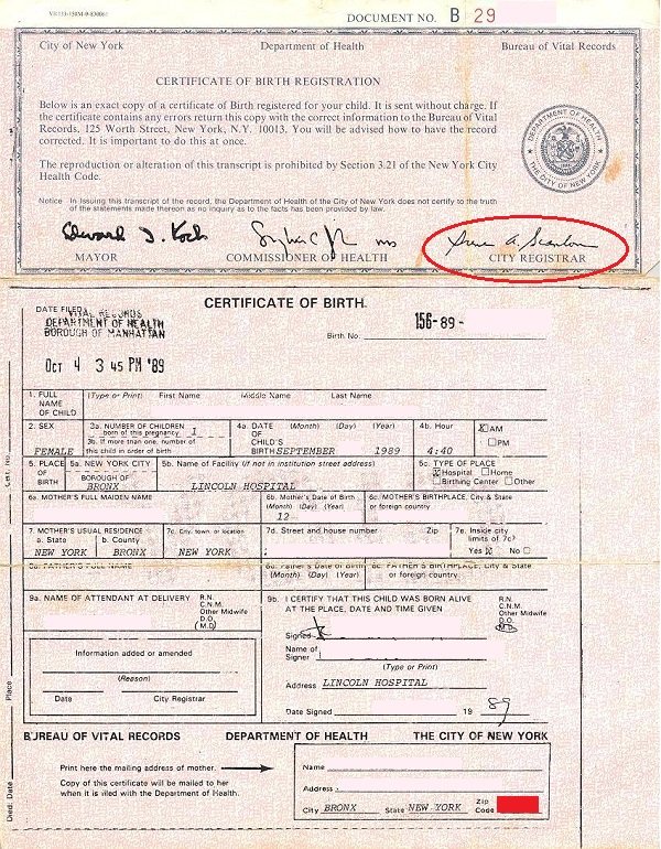 Order Birth Certificate New York State