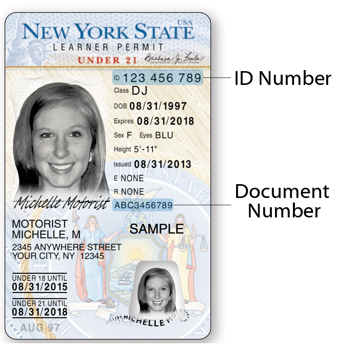 Sample New York State DMV Photo Documents