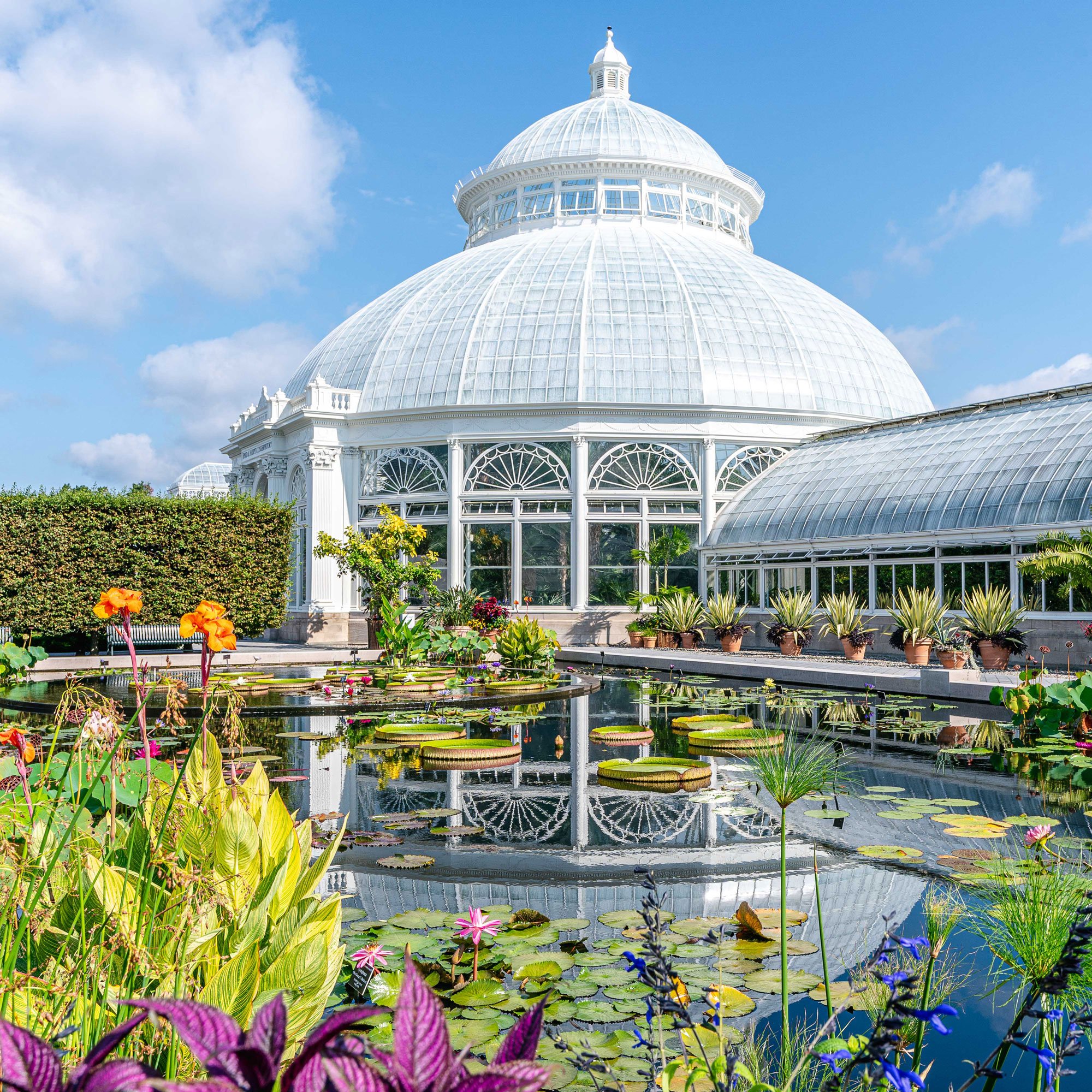 Take a Virtual Summer Tour of the Conservatory Courtyard ...