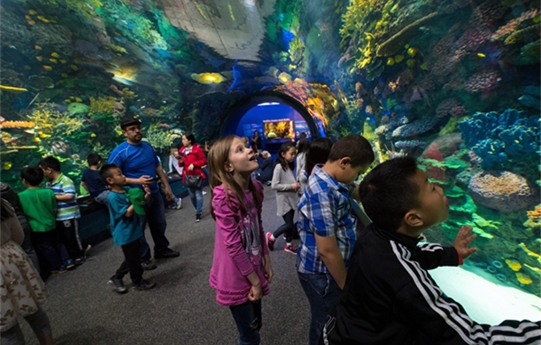 WCS New York Aquarium Named National Medal for Museum and ...